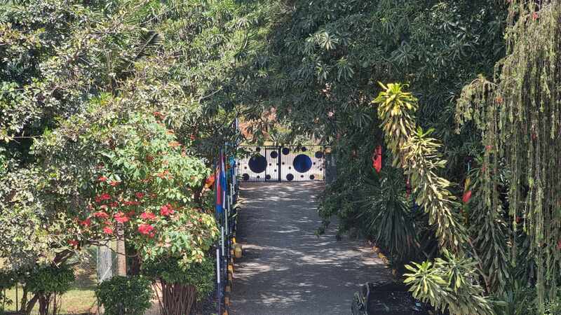 Tree-lined campus entrance