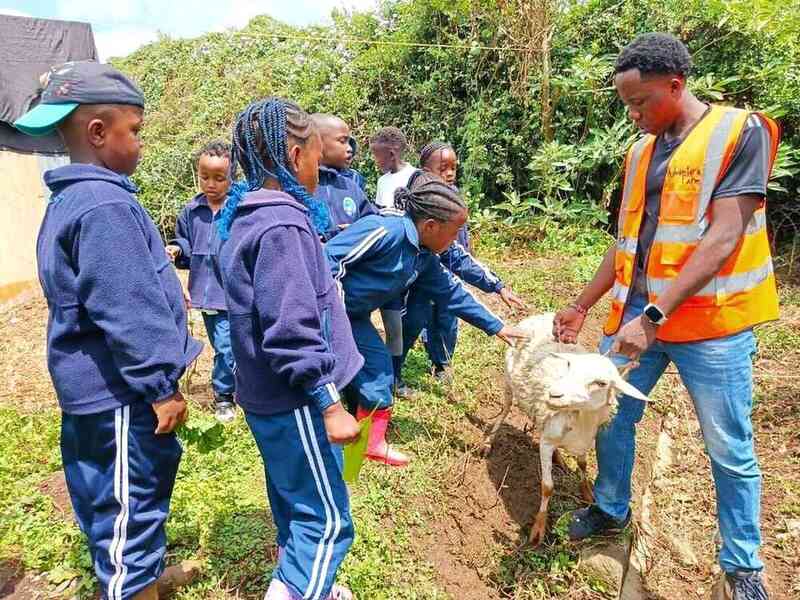 Students on a farm field trip learning about animals