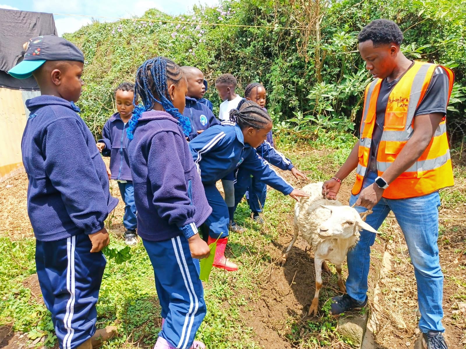 Students meeting a sheep on a farm field trip